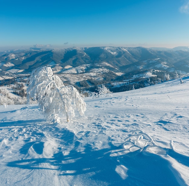 Paisagem de neve de montanha de inverno