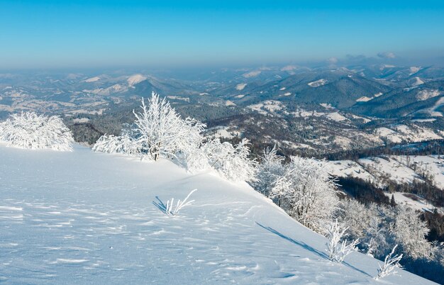 Paisagem de neve de montanha de inverno