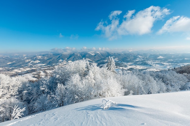 Paisagem de neve de montanha de inverno