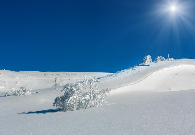 Paisagem de neve de montanha de inverno