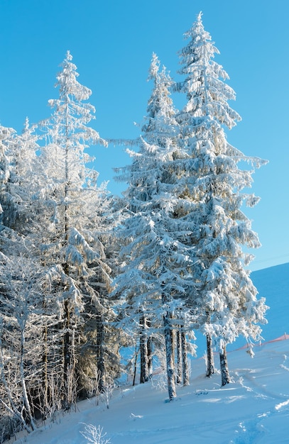 Paisagem de neve de montanha de inverno