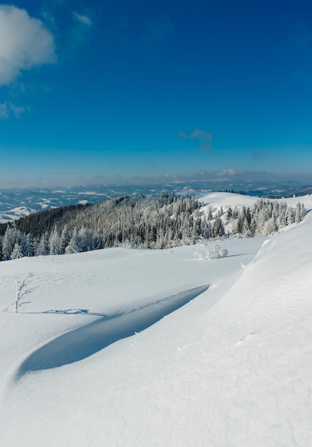 Paisagem de neve de montanha de inverno