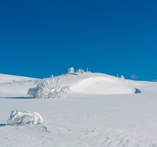 Paisagem de neve de montanha de inverno