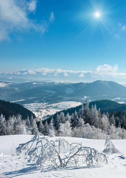 Paisagem de neve ensolarada de montanha de inverno