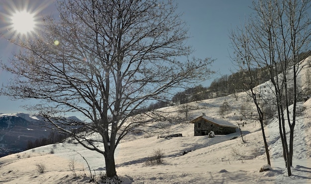 Paisagem de neve ensolarada nas montanhas alpinas com árvores e chalé sob o céu azul