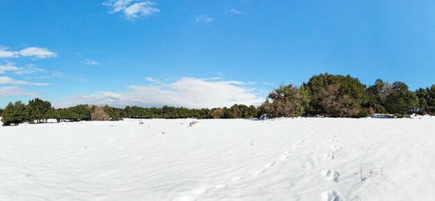 paisagem de neve no norte de Israel