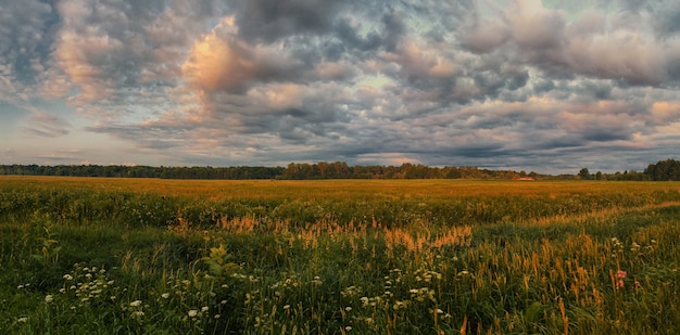 Paisagem de noite de verão acima do campo com belas nuvens