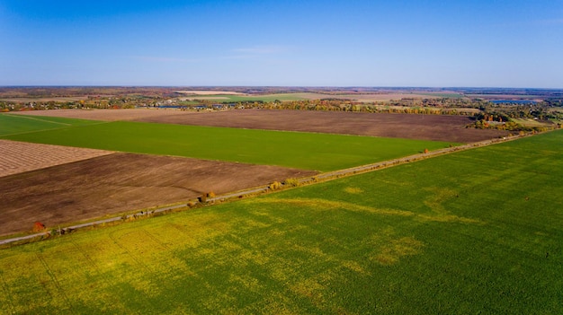 Paisagem de outono céu azul árvores coloridas campos amarelos Vista aérea