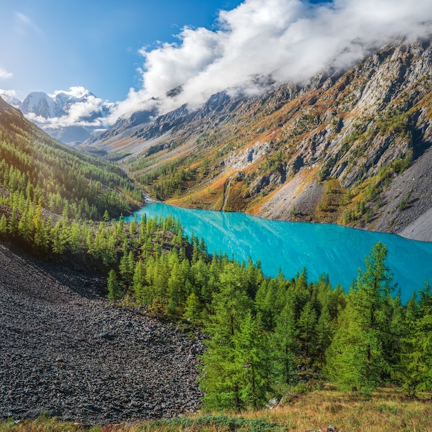 Paisagem de outono colorida com lago de montanha clara na floresta entre os abetos no sol. cenário brilhante com belo lago turquesa no contexto de altas montanhas. lago shavlin inferior.