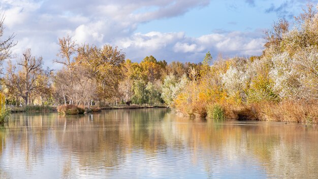 paisagem de outono com a natureza refletida na água