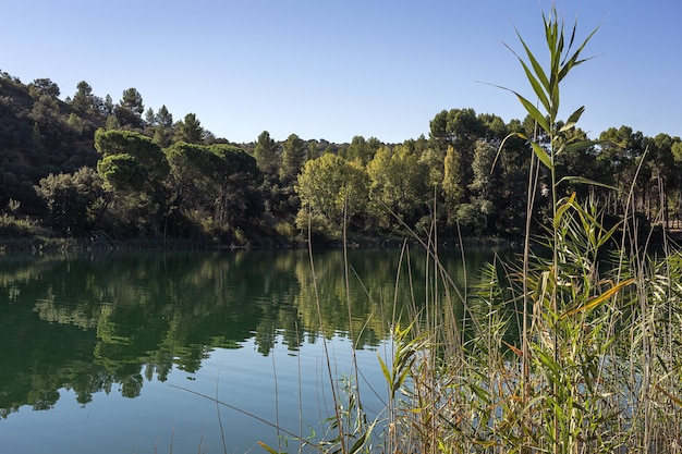 Foto paisagem de outono com lago em um dia ensolarado