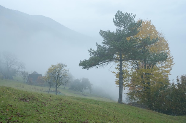 Paisagem de outono com nevoeiro em uma aldeia de montanha. Cerca de madeira em um quintal rural. Montanhas dos Cárpatos, Ucrânia, Europa