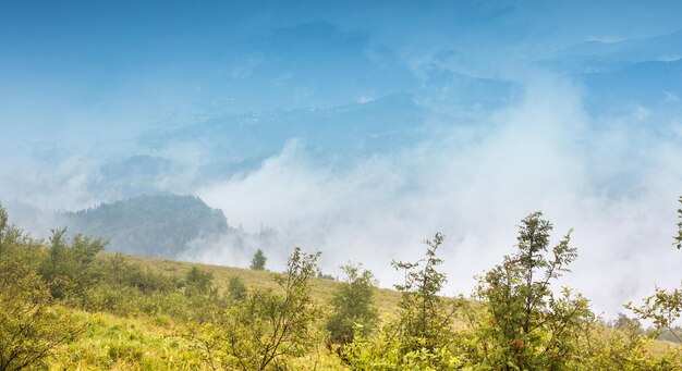 Paisagem de outono com nevoeiro nas montanhas Floresta de abetos nas colinas