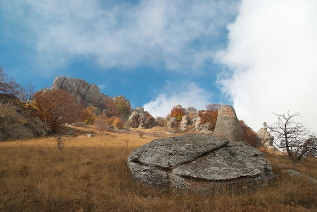 Paisagem de outono com nuvens e grama amarela.