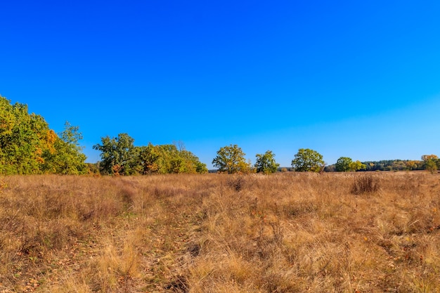 Paisagem de outono com prados secos e árvores de outono coloridas