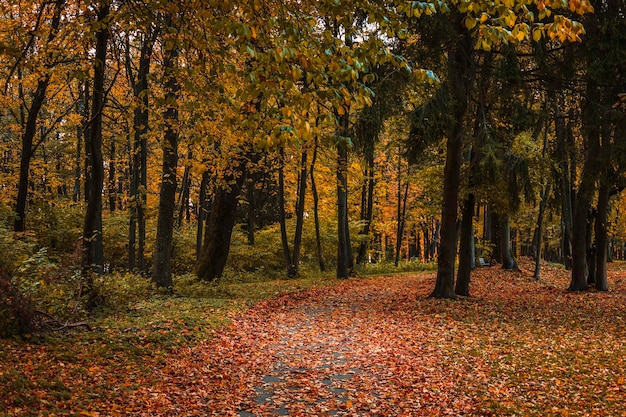 Paisagem de outono com trilha de caminhada e árvores coloridas em um parque