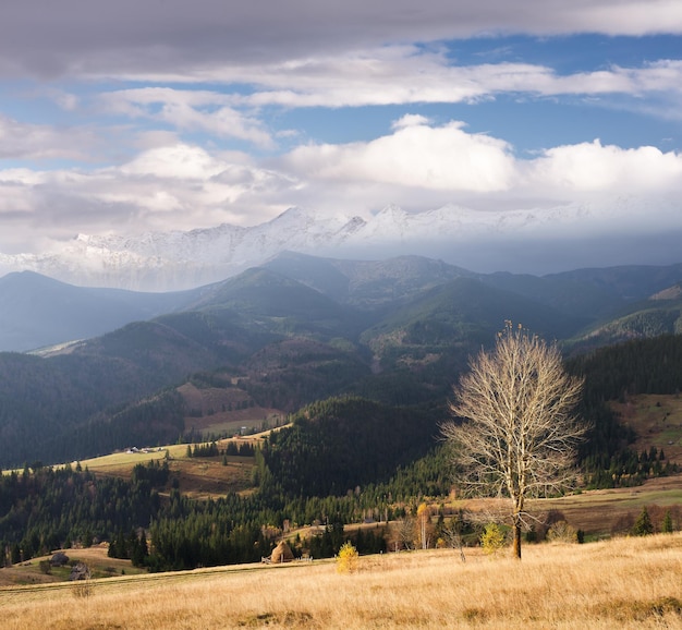 Paisagem de outono com uma árvore sem folhas. Vista da aldeia de montanha e topos na neve e nuvens. Colagem de dois quadros