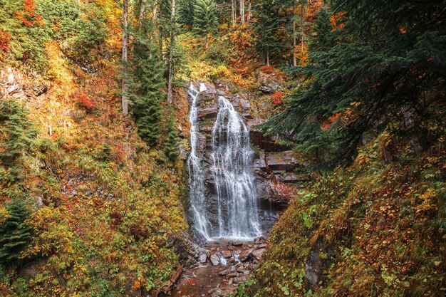 Paisagem de outono com uma cachoeira da floresta