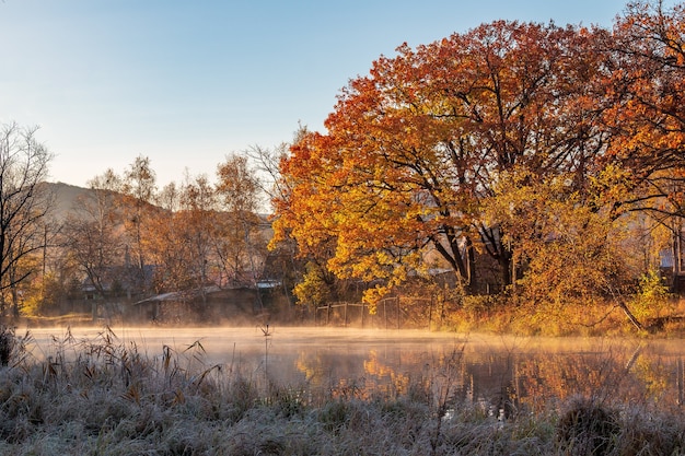 Paisagem de outono da manhã de nevoeiro no extremo leste da Rússia. Cena em um parque de uma área residencial da cidade.