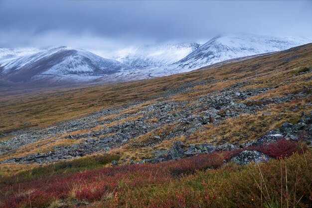 Paisagem de outono de Altai.