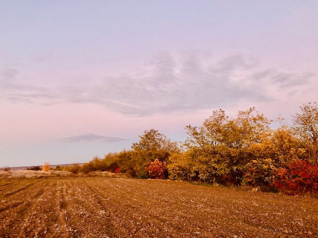 Foto paisagem de outono de campo e floresta em filmagens de alta qualidade do pôr do sol em k