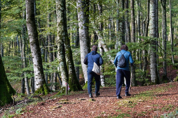 Paisagem de outono de dois caminhantes no Hayedo Encantado Sierra de Urbasa Navarra Espanha