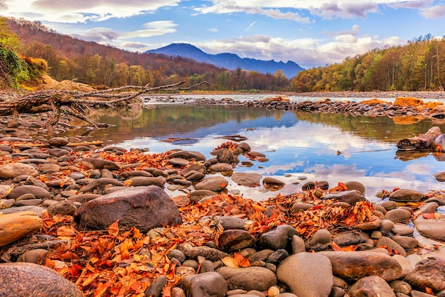 Paisagem de outono de um rio com uma floresta nas margens