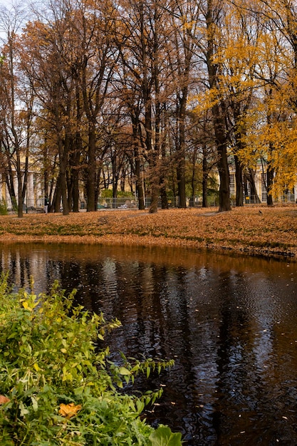 Paisagem de outono do parque da cidade com um rio Outono no parque da cidade Árvores amarelas na margem do rio