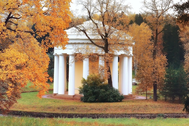 paisagem de outono do parque Peterhof/outono em petersburgo, temporada de outono no parque amarelo