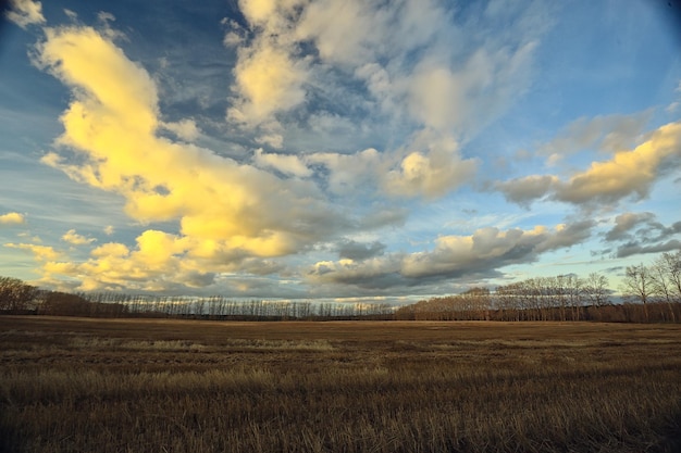 paisagem de outono dramática campo céu conceito abstrato tristeza