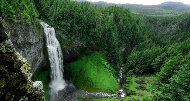 Paisagem de outono e árvores verdes