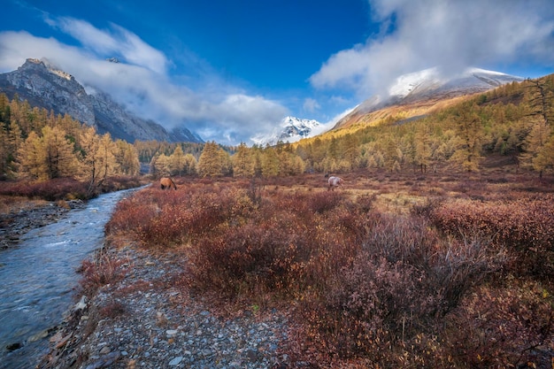 Paisagem de outono em Altai Montanhas Altai Sibéria do Sul Rússia