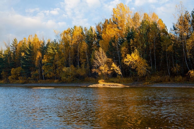 Paisagem de outono em um dia ensolarado Montanhas do rio floresta amarela reflexo no céu azul da água