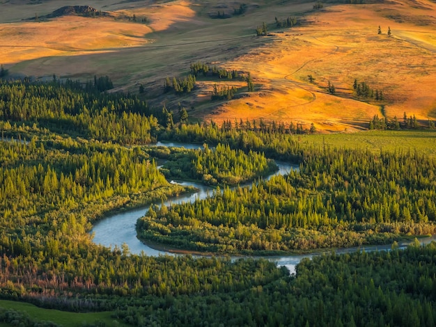 Paisagem de outono ensolarada brilhante com rio sinuoso e vale de ouro ensolarado com pinheiros verdes na encosta da montanha sob céu nublado Incrível cenário alpino com belas montanhas no sol dourado