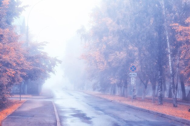 paisagem de outono manhã no nevoeiro/beco no parque da cidade, paisagem enevoada na cidade, árvores na cidade