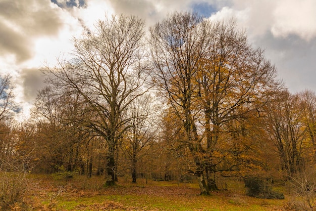 Foto paisagem de outono na cordilheira de urbasa navarra espanha