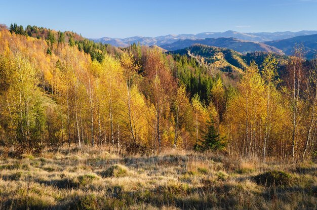 Paisagem de outono na montanha. Bela floresta nas colinas