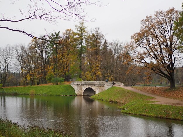 Paisagem de outono nas lagoas e caminhos das árvores do parque Gatchina Palace Park