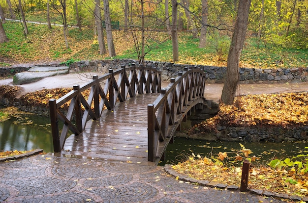 Paisagem de outono. Ponte no parque. Composição da natureza.