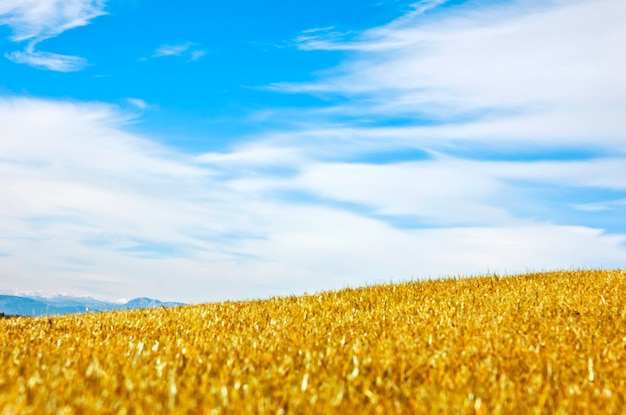 Paisagem de outono Prado de campo amarelo e céu azul