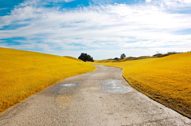 Foto paisagem de outono prado de campo amarelo e céu azul