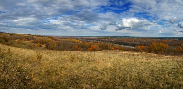 Paisagem de outono. vista da floresta com folhagem amarela de um céu nublado.