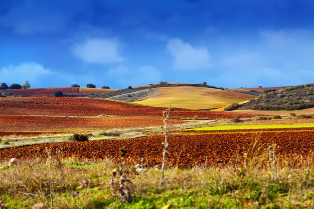 Paisagem de outono