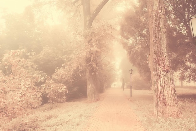 paisagem de parque de outono sépia / paisagem de outono em estilo vintage, beco laranja sépia no parque outubro