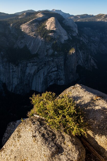 Foto paisagem, de, parque nacional yosemite