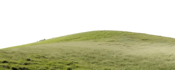 Foto paisagem de pastagens da png pastagens ao ar livre