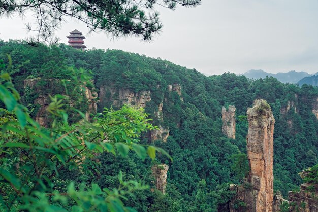 Paisagem de pilares de pedra Tianzi Mountain em Zhangjiajie