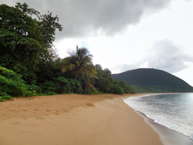 Foto paisagem de praia das caraíbas