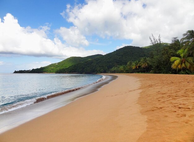 Foto paisagem de praia das caraíbas