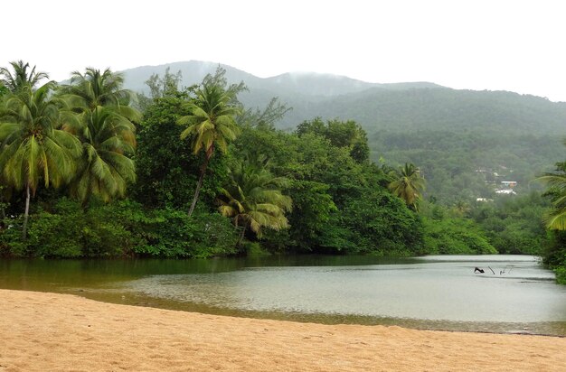 Paisagem de praia das caraíbas